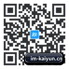 系统版 iOS 二维码